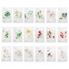 Innisfree Innisfree My Real Squeeze Masks | Korean Skincare, Beauty, Makeup | Go Bloom & Glow